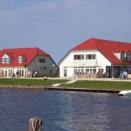 06 Mantelmoewemit Blick Auf Salzhaff Und Ostsee Rerik