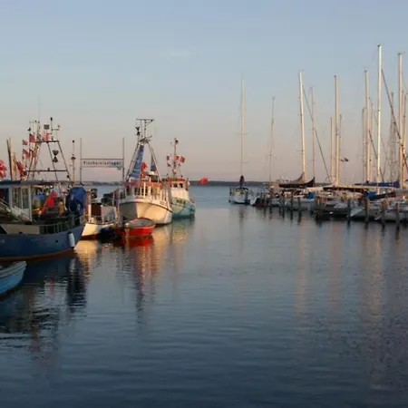 06 Mantelmoewemit Blick Auf Salzhaff Und Ostsee Apartament